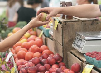 Stellantis, bene disponibilità aziendale su rinnovo del Ccsl