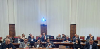 Stellantis e ACC, legare i contributi pubblici alla tutela occupazionale e al progetto industriale