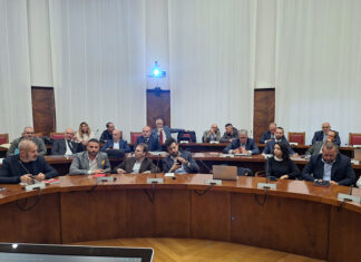 Stellantis e ACC, legare i contributi pubblici alla tutela occupazionale e al progetto industriale